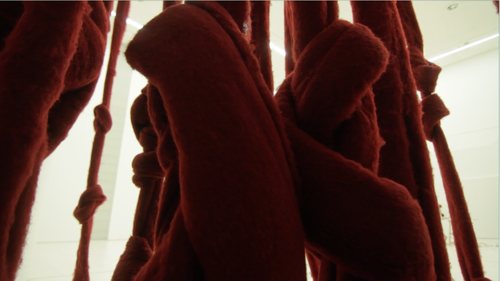 CV quipu womb det01