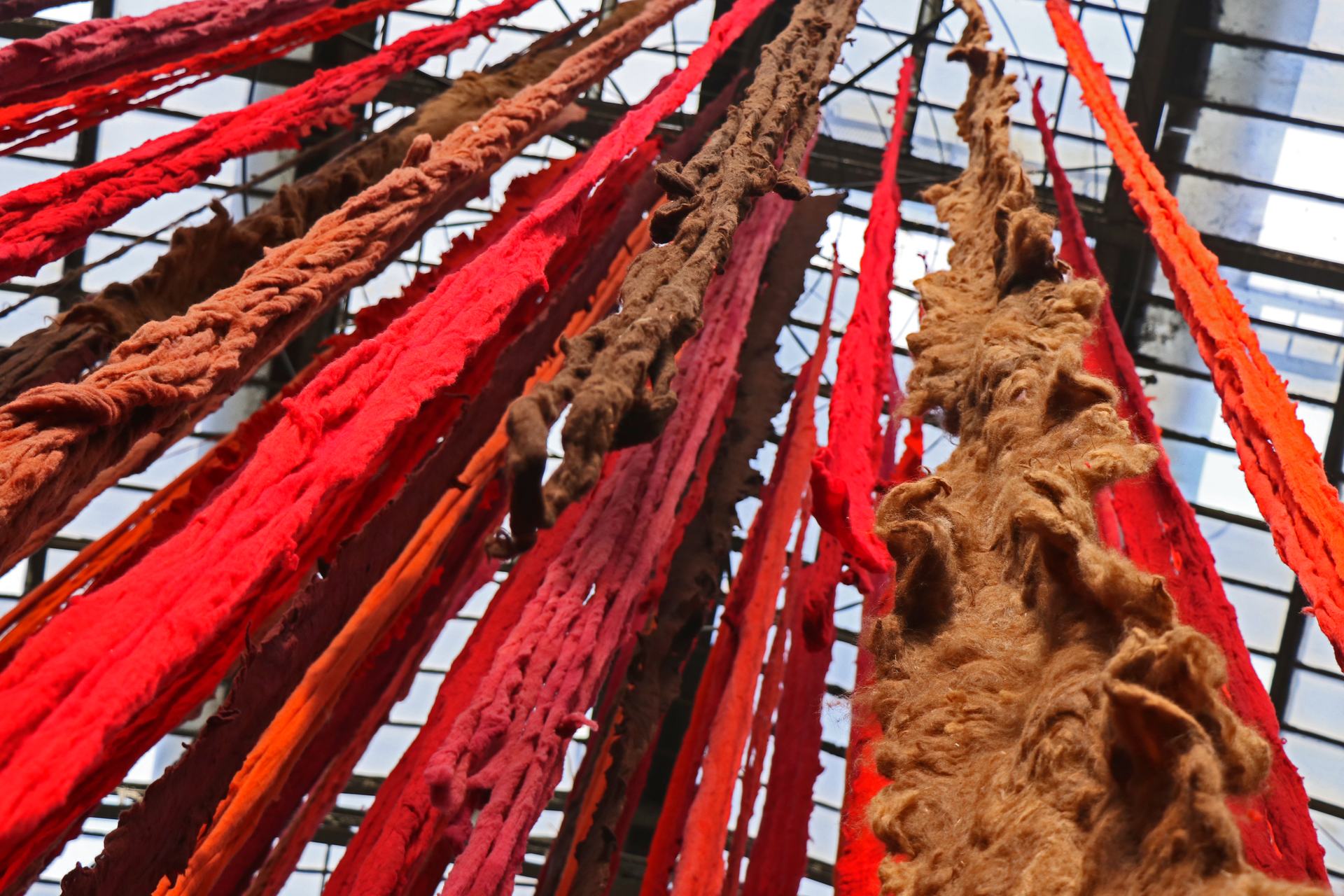 import:Proyectos/Soñar el agua 2023/Quipu Menstrual_Romina Díaz/IMG_7021.jpg