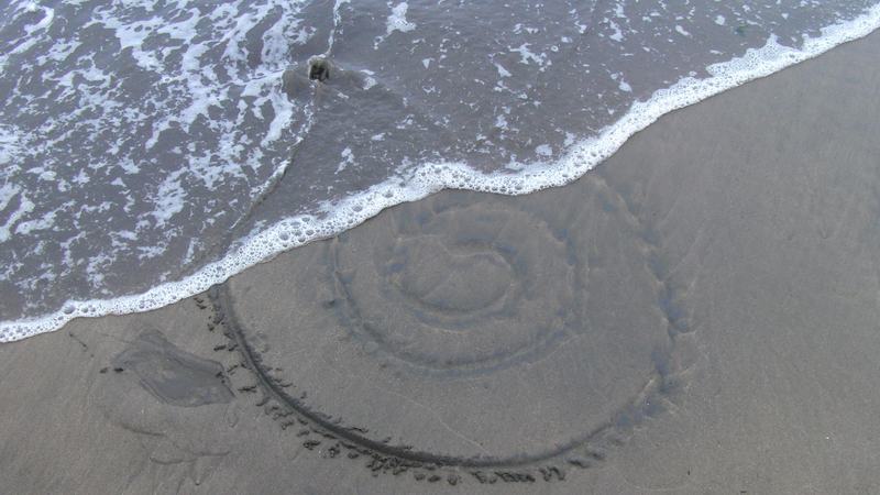 import:Filmografía/4 Kon Kon images, hands with red in the water, etc/kon kon vicuña 300.jpg