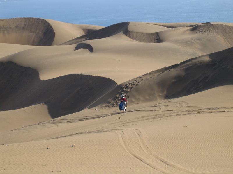 import:Filmografía/4 Kon Kon images, hands with red in the water, etc/kon kon vicuña dunas 300.JPG