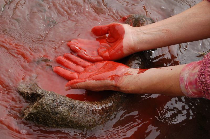 import:Filmografía/4 Kon Kon images, hands with red in the water, etc/vicuña KonKon300 (1).JPG